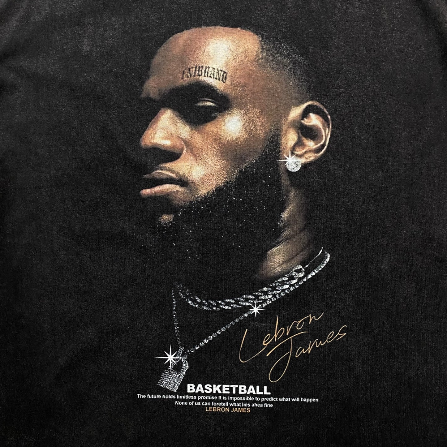 LEBRON JAMES VINTAGE GRAPHIC TEE DARK GREY - Prime Reps